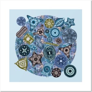 Ernst Haeckel Ocean Diatoms on  Blue Teal Sea Squirt Posters and Art